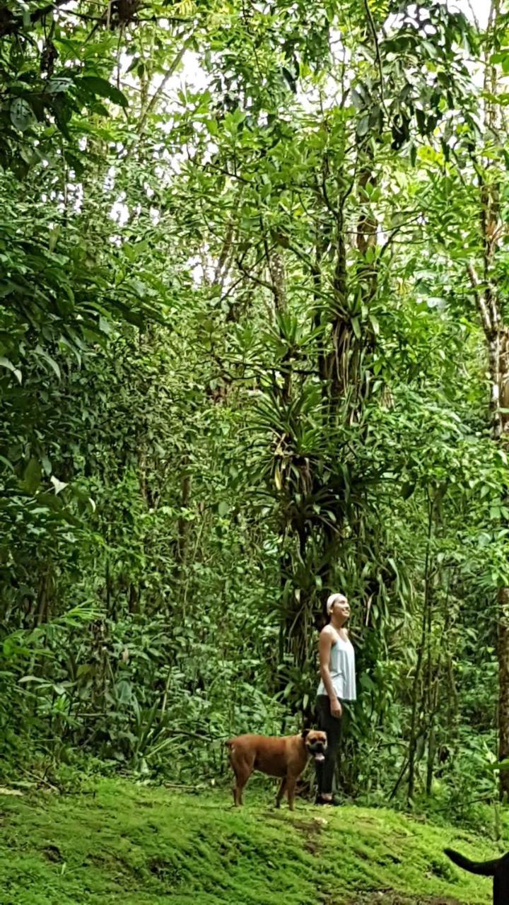 Hotel Brisas Arenal La Fortuna 外观 照片