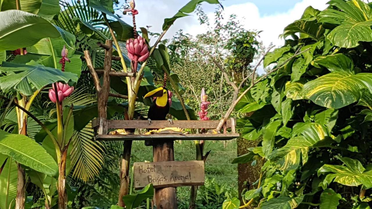 Hotel Brisas Arenal La Fortuna 外观 照片
